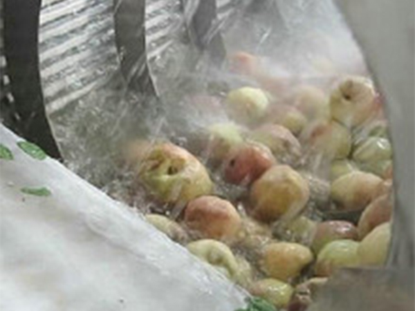 高壓氣泡清洗機(jī)(玉米類、果蔬類）